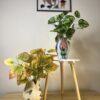 Hand-Painted Gond Art Sculptural Vase - Tree of Life Motif